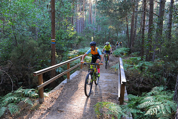 Duruelo de la Sierra – Pinares de Urbión