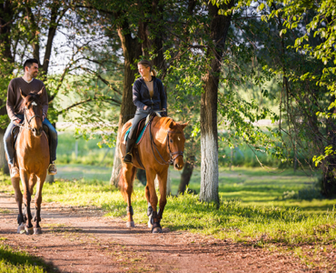 RUTAS A CABALLO