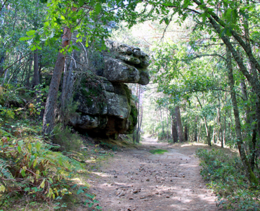 RUTA DE LA CALZADA ROMANA