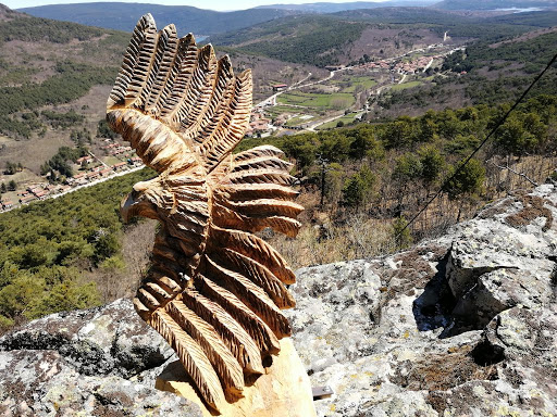 RUTA PICO DEL ÁGUILA – Pinares de Urbión