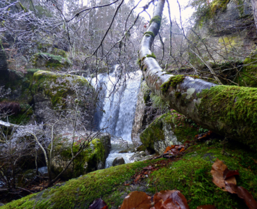 CASCADA DE LA MINA DEL MÉDICO (COVALEDA)