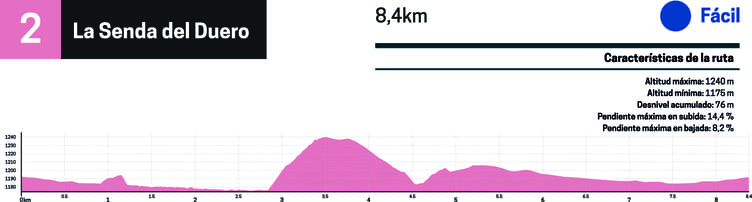 perfil btt ruta 2